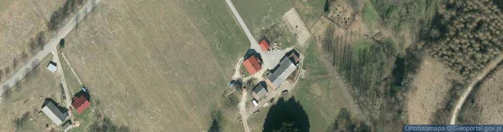 Zdjęcie satelitarne Nowosielce Kozickie ul.