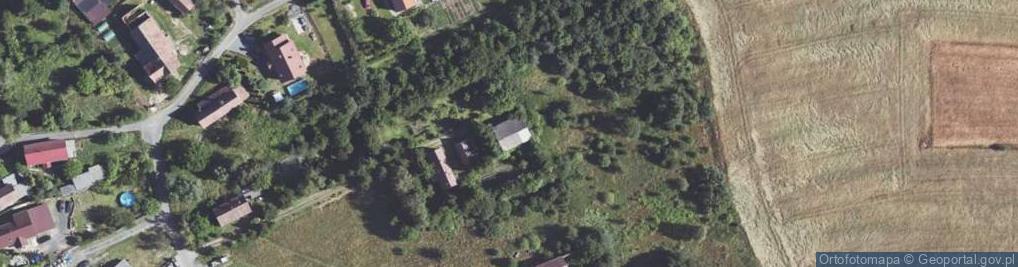 Zdjęcie satelitarne Nowoszyce ul.