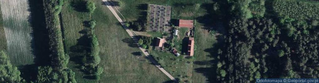 Zdjęcie satelitarne Nowy Antonin ul.