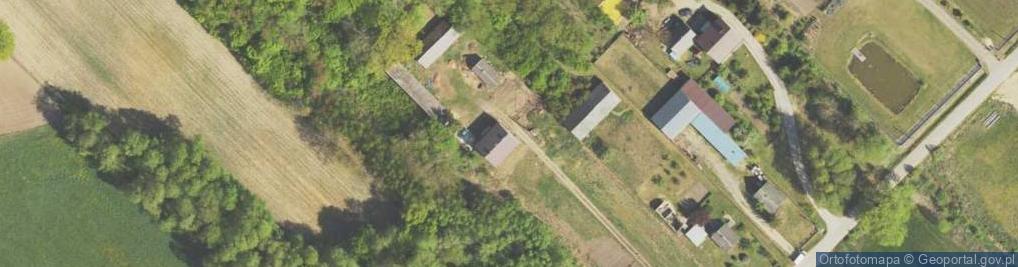 Zdjęcie satelitarne Nowy Cydzyn ul.