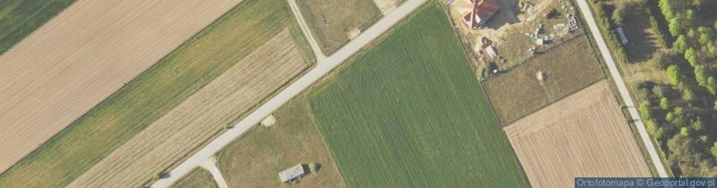 Zdjęcie satelitarne Nowy Cydzyn ul.