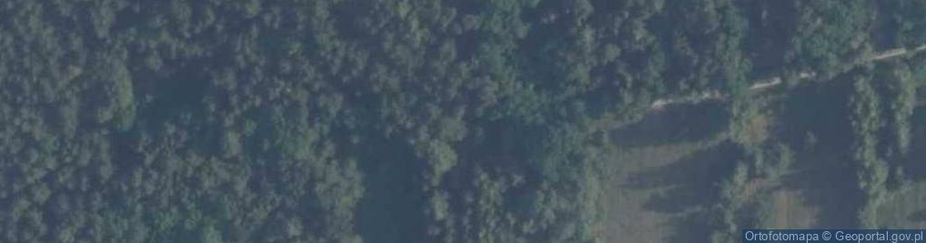 Zdjęcie satelitarne Nowy Jadów ul.