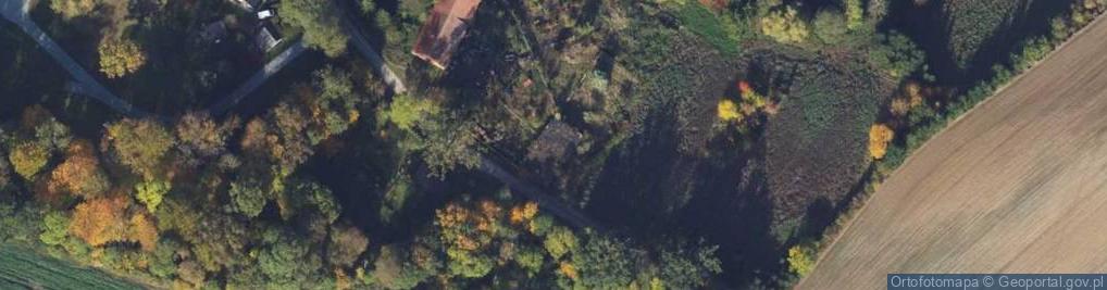 Zdjęcie satelitarne Nowy Jasiniec ul.