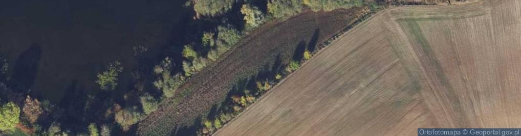 Zdjęcie satelitarne Nowy Jasiniec ul.