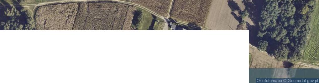 Zdjęcie satelitarne Nowy Karolew ul.