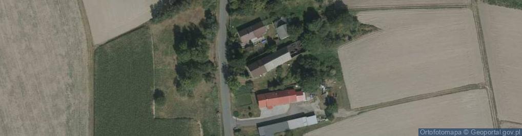 Zdjęcie satelitarne Nowy Las ul.
