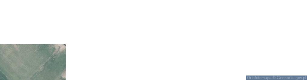 Zdjęcie satelitarne Nowy Laskowiec ul.