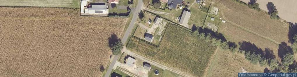 Zdjęcie satelitarne Nowy Olesiec ul.