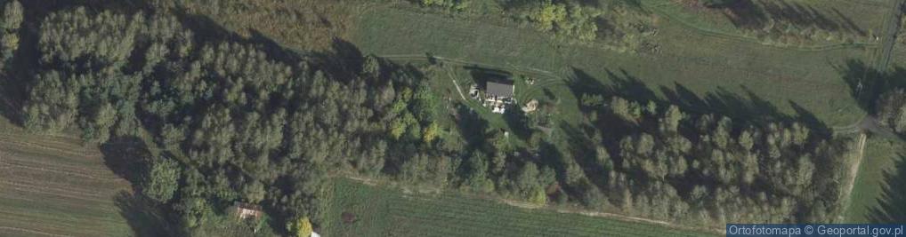 Zdjęcie satelitarne Nowy Radzic ul.