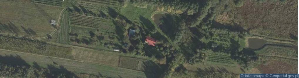 Zdjęcie satelitarne Nowy Radzic ul.