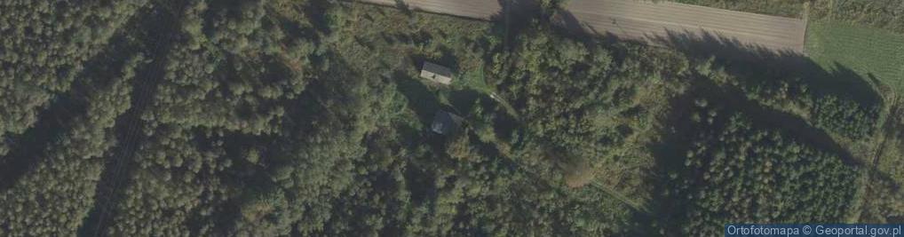 Zdjęcie satelitarne Nowy Radzic ul.