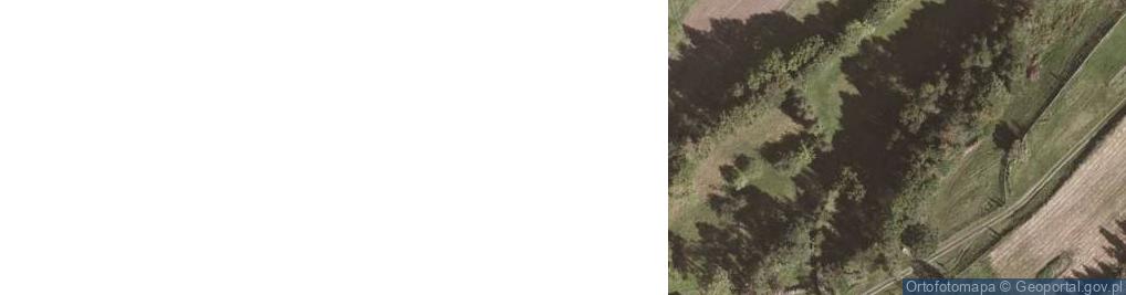 Zdjęcie satelitarne Nowy Waliszów ul.