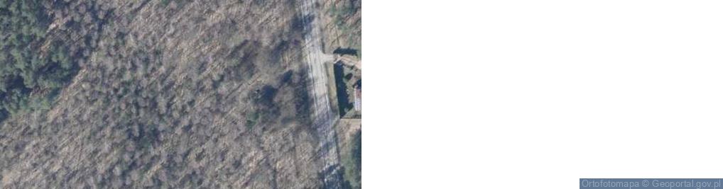 Zdjęcie satelitarne Nowy Zieluń ul.