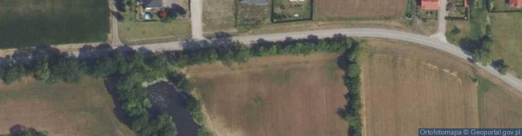 Zdjęcie satelitarne Nowowiejska ul.