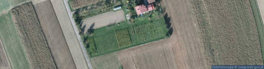 Zdjęcie satelitarne Nowa ul.