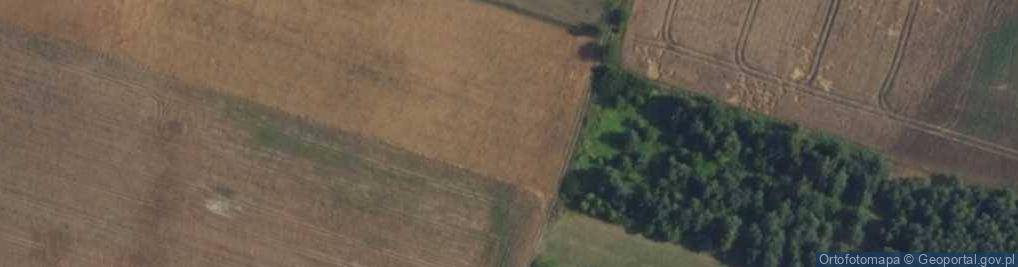 Zdjęcie satelitarne Nowożytna ul.