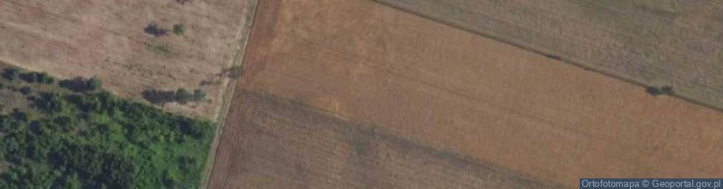 Zdjęcie satelitarne Nowożytna ul.