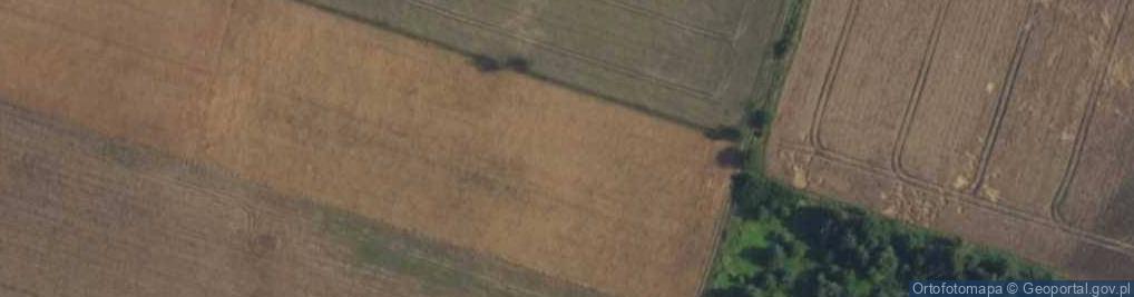 Zdjęcie satelitarne Nowożytna ul.