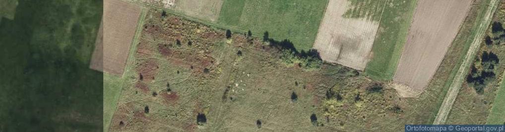 Zdjęcie satelitarne Nowy Świat ul.