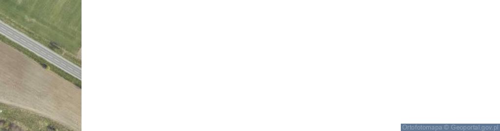 Zdjęcie satelitarne Nowe Borki ul.