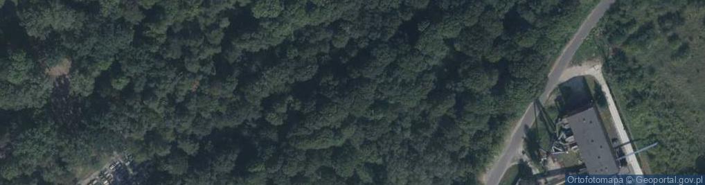 Zdjęcie satelitarne Obwodowa ul.