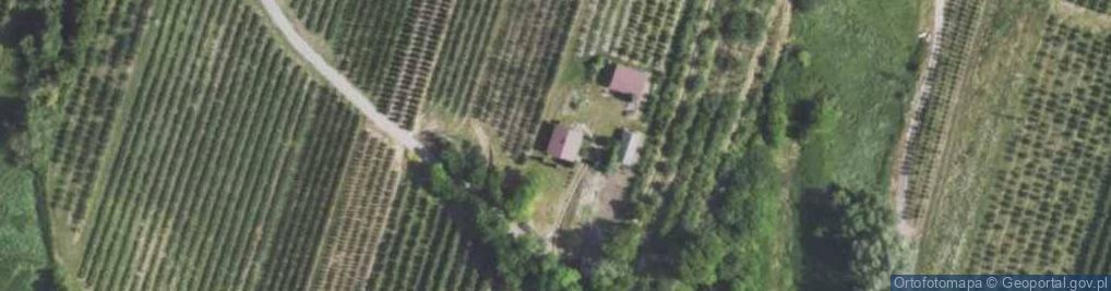 Zdjęcie satelitarne Obrazów ul.