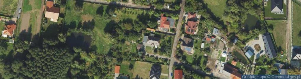 Zdjęcie satelitarne Ochla-Grzybowa ul.