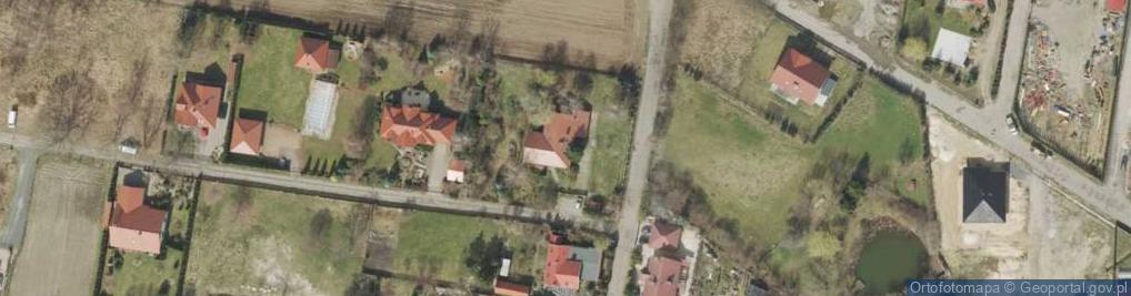 Zdjęcie satelitarne Ochla-Grzybowa ul.