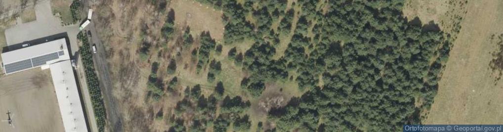 Zdjęcie satelitarne Ochla-Pustynna ul.