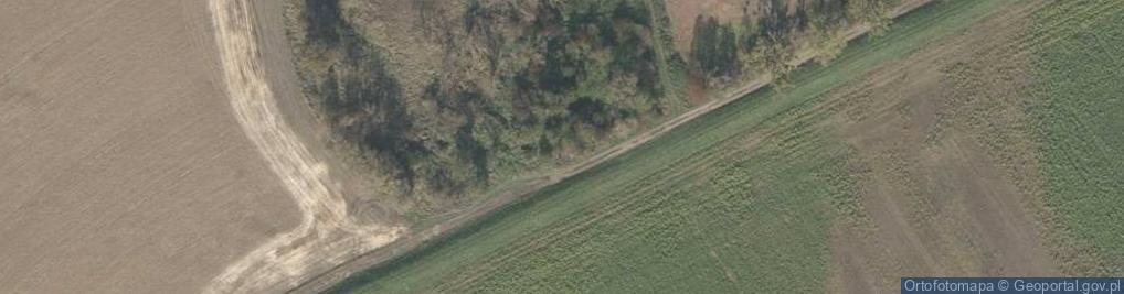 Zdjęcie satelitarne Odrzańska ul.