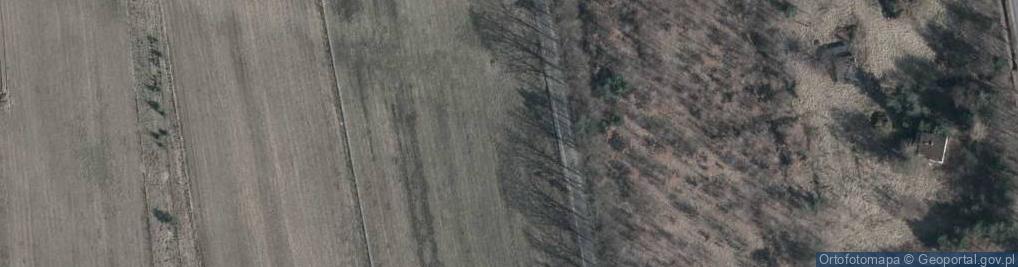 Zdjęcie satelitarne Ogrodowa ul.