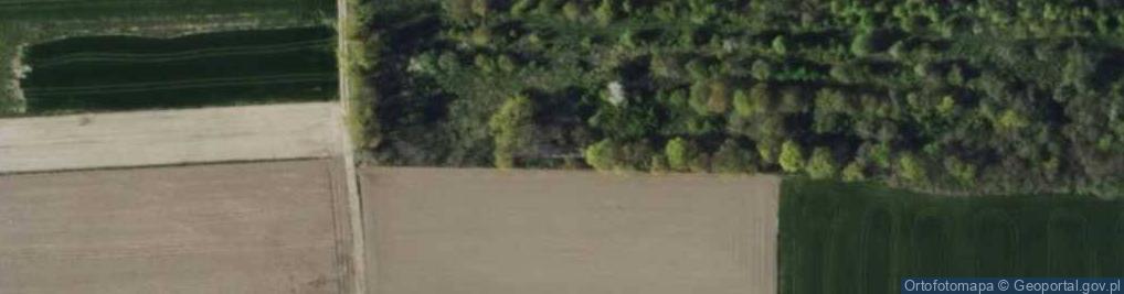 Zdjęcie satelitarne Ogrodowa ul.