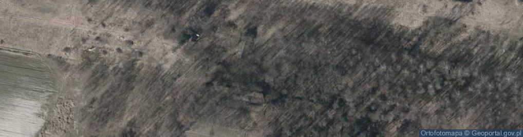 Zdjęcie satelitarne Ogrodowa ul.