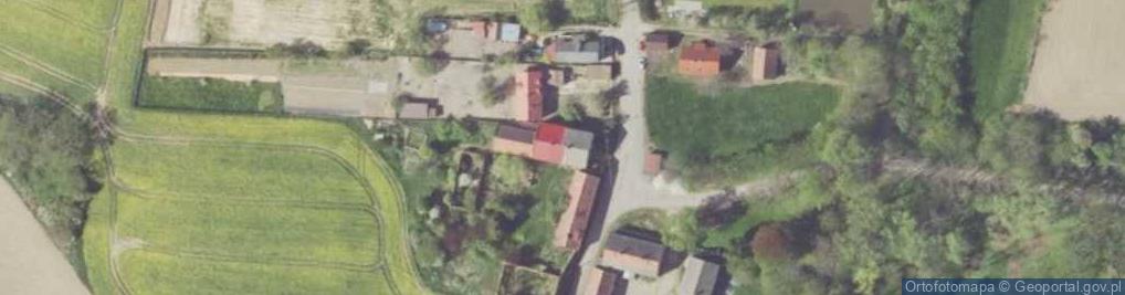 Zdjęcie satelitarne Ogonów ul.