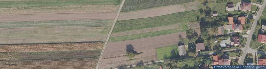 Zdjęcie satelitarne Ogrodowa ul.