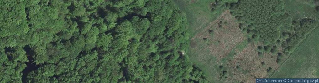 Zdjęcie satelitarne Ojcowska ul.