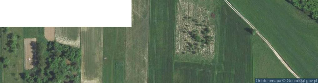 Zdjęcie satelitarne Ojcowska ul.