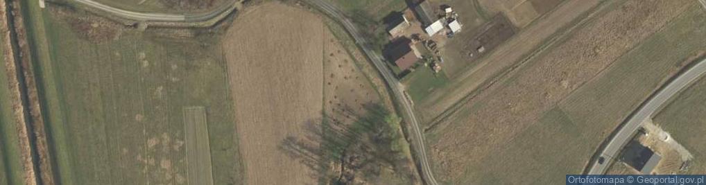 Zdjęcie satelitarne Okulicka ul.