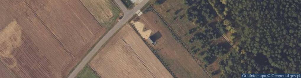 Zdjęcie satelitarne Okoninek ul.