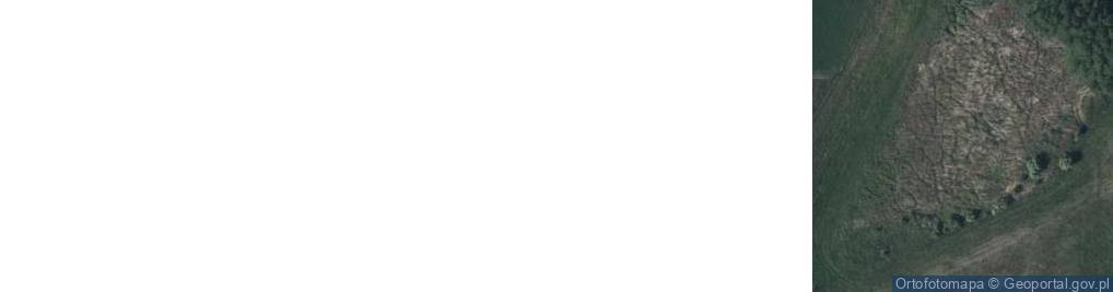 Zdjęcie satelitarne Okunin ul.