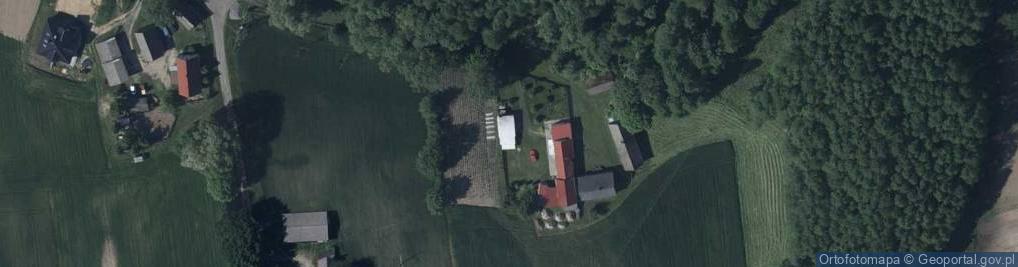 Zdjęcie satelitarne Okunin ul.