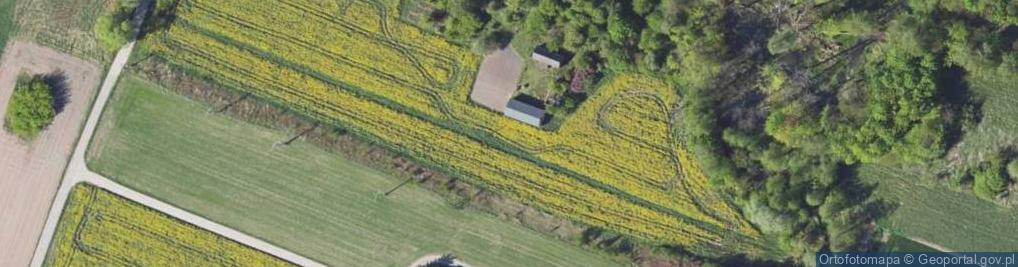 Zdjęcie satelitarne Okólna ul.