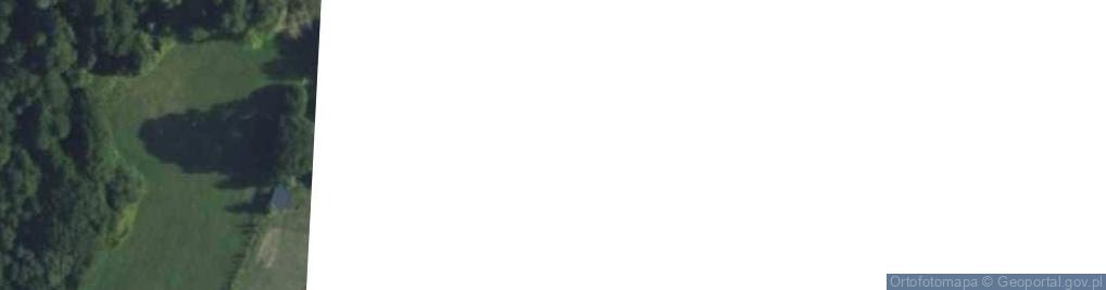 Zdjęcie satelitarne Okoniówek ul.