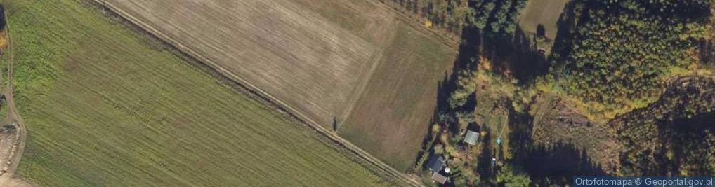 Zdjęcie satelitarne Okrężna ul.