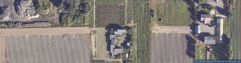 Zdjęcie satelitarne Okrężna ul.