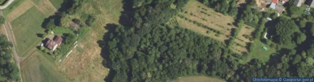 Zdjęcie satelitarne Olszyny ul.