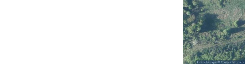 Zdjęcie satelitarne Olimpijska ul.