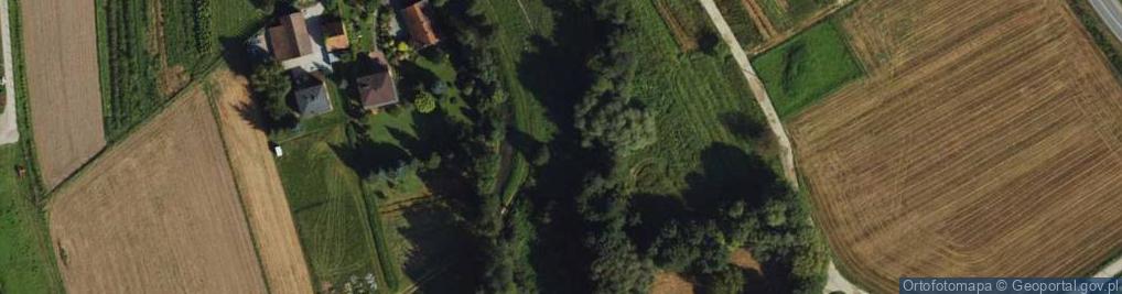 Zdjęcie satelitarne Olszynowa ul.