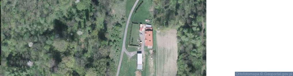 Zdjęcie satelitarne Olimpijska ul.