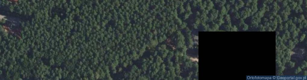 Zdjęcie satelitarne Olchy ul.